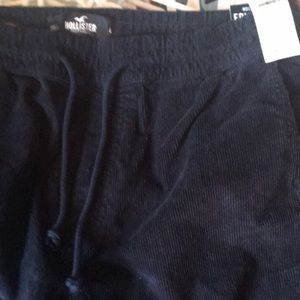 Hollister brand large brand new with tags